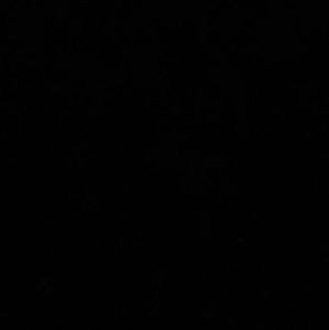 Meet your Posher, Jack